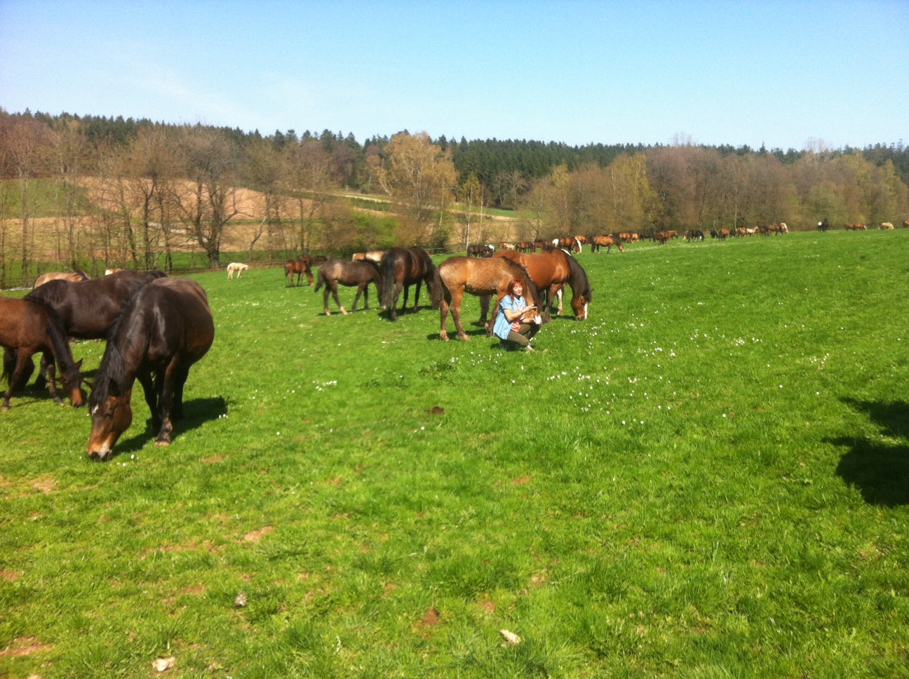 Diana Eichhorn auf unserer Stutenmilchfarm