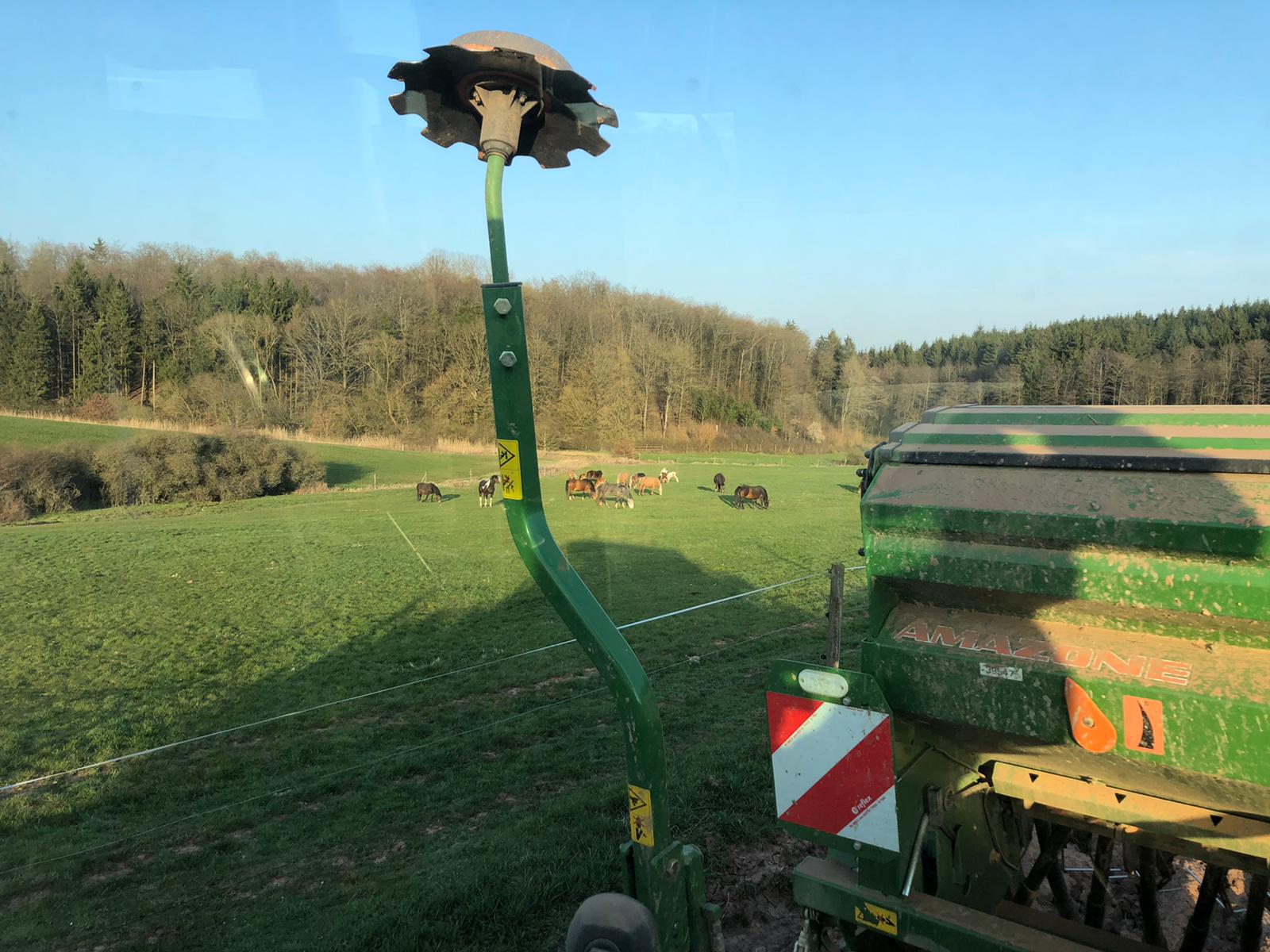 Frühling auf der Stutenmilchfarm