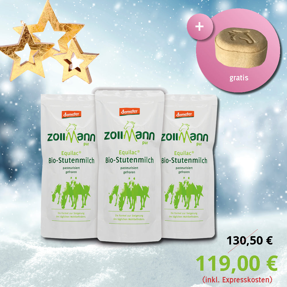 Winterangebot Bio-Stutenmilch Kur + Festes Shampoo gratis